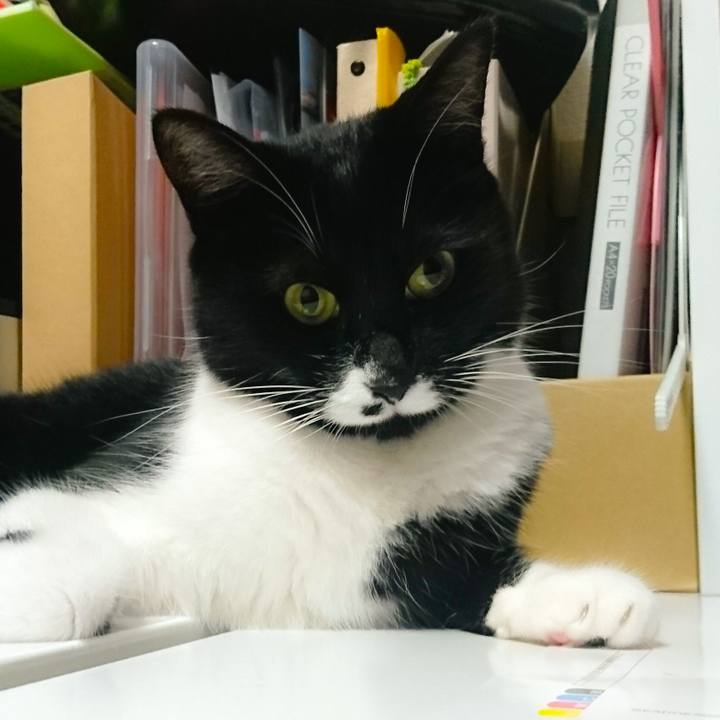 1eca6f9a faaa 4326 9706 41749d6bef2e