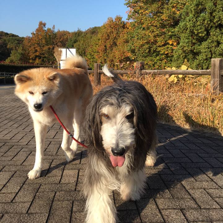 1eca8dfd 1b6a 45cd be96 93e7ddb0b5bc