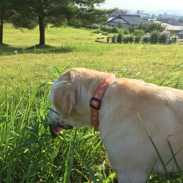 1ecb2cd4 b089 4886 91ae a89e2dd62ce5