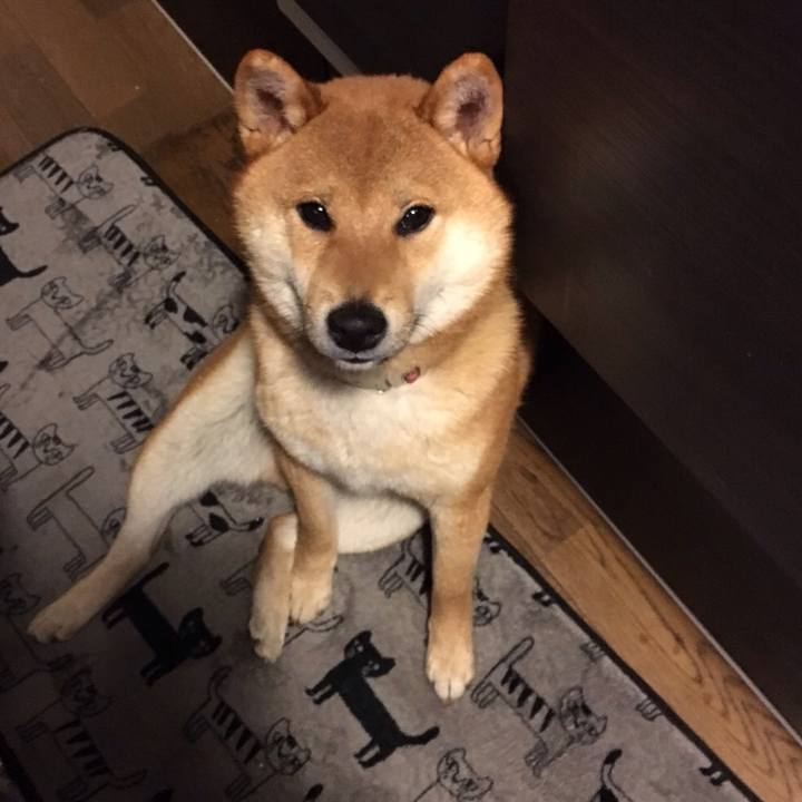 1ecb2e16 45e3 4c23 b8d8 c41845927094