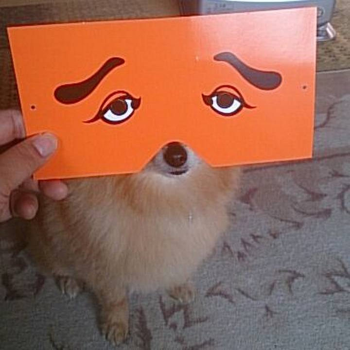 1ecbd98d 68e7 4100 864f 7288d8e1c282