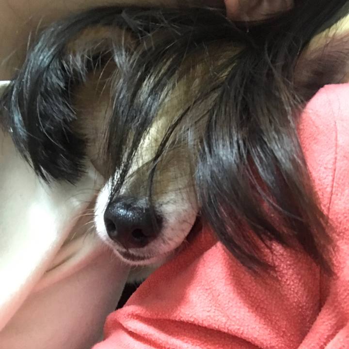 1ecc1f25 8755 43f3 acf5 d3457e3d2d86