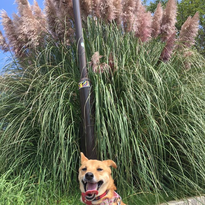 1ecc23d2 9031 4a60 9d26 4ad61aeb1b07