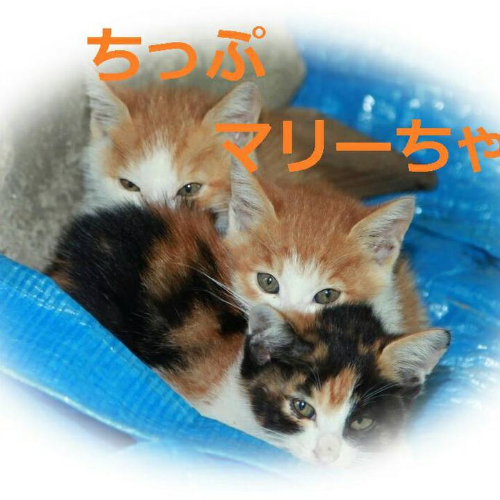 1ecc548a c96f 4bc5 8477 1176f96ef9e2