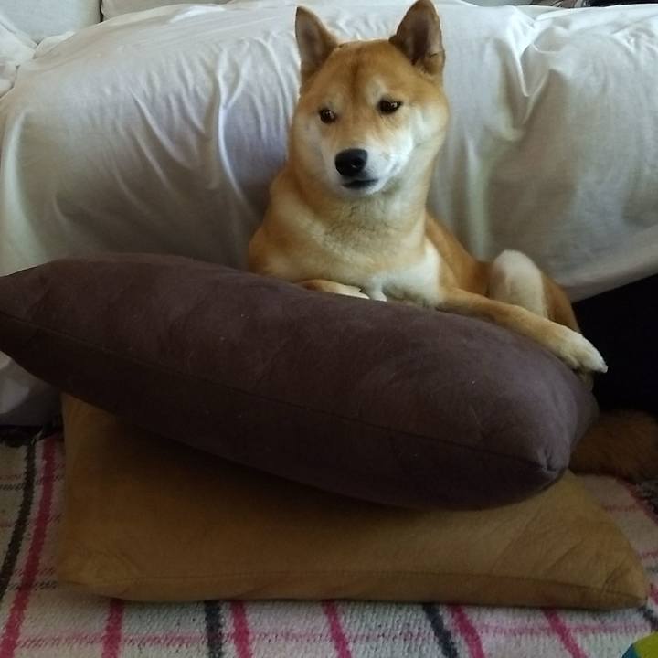 1ecc70b2 ea9c 4996 b71f 812d4a46d087