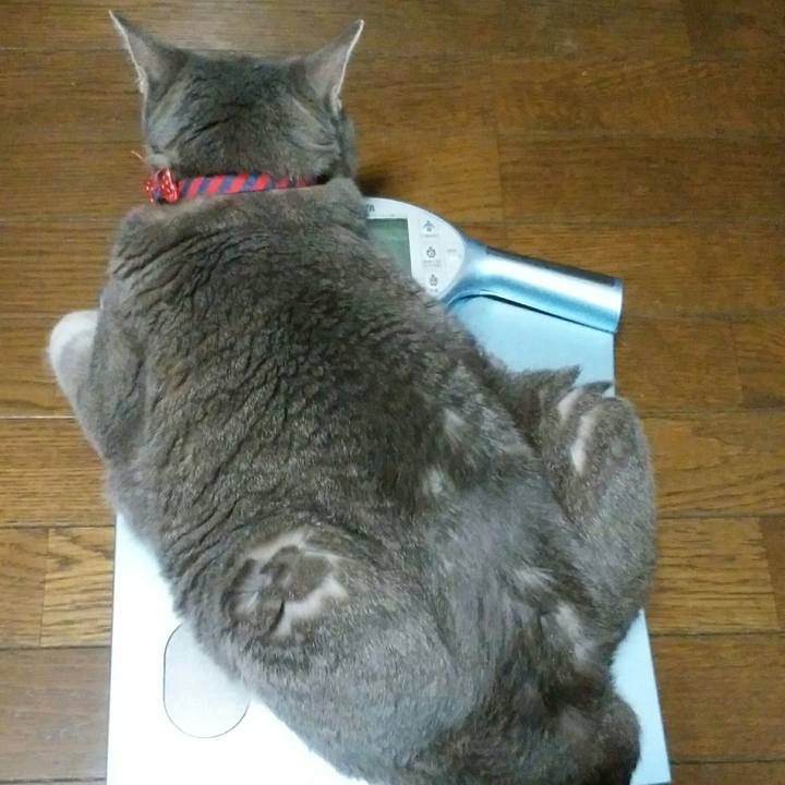 1ecc81bd 317c 49fa bba0 c8c3805938d8