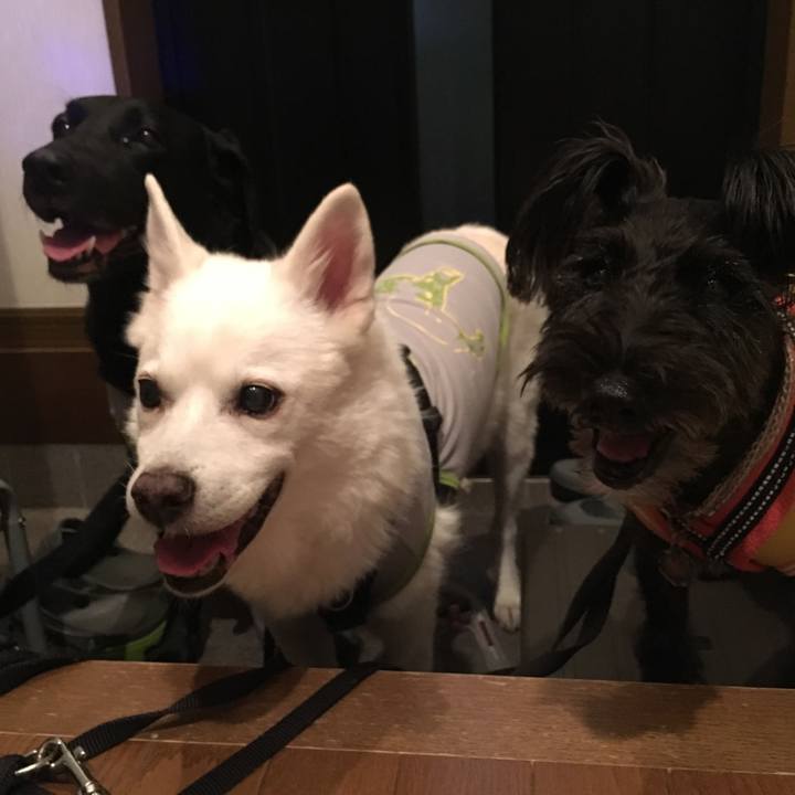 1ecc8d15 f158 44c2 b7ef 8b3cbb08cc1c