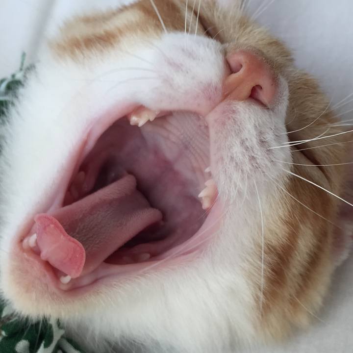 1eccbe86 f66a 4530 bfdb 38f5d1fd7fd4