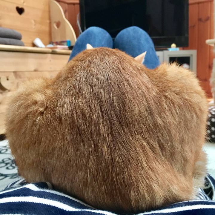 1eccd6f4 c81b 4513 83eb 697331b1604d