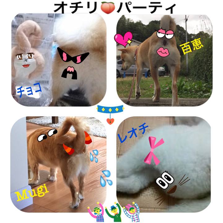 1ecdd979 8f69 4815 b6e6 bd96913a80b0