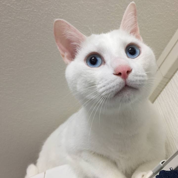 1ece2a50 5190 4010 a6fb 8c89e440734c