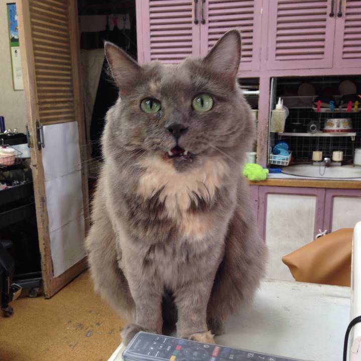 1ece6ff4 9f52 4cf2 8cc7 96d5f02488c1