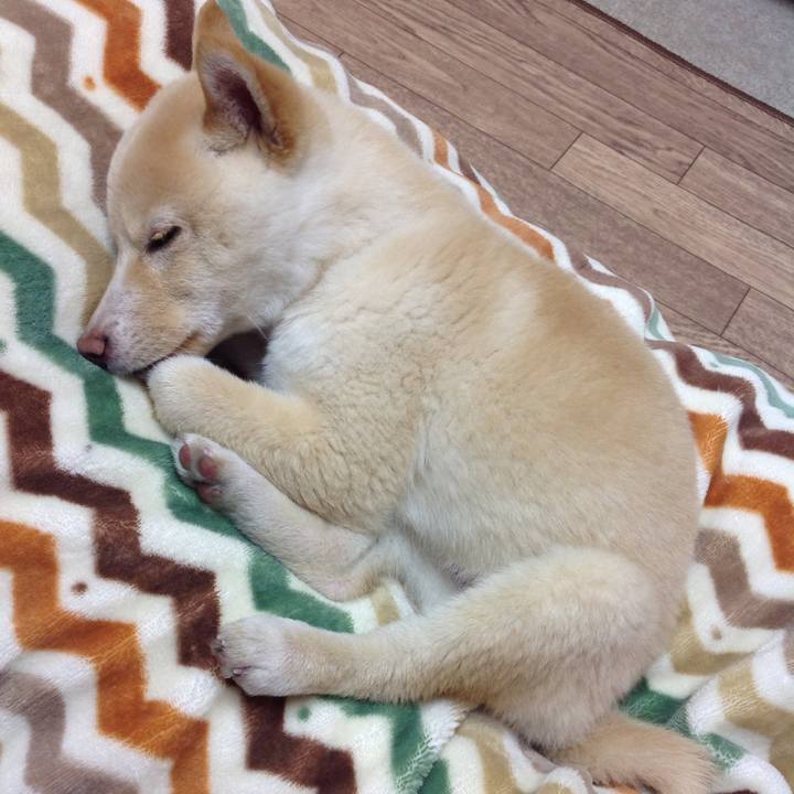 1ece8b0f 4f2f 4377 8c61 75be33f19b0a