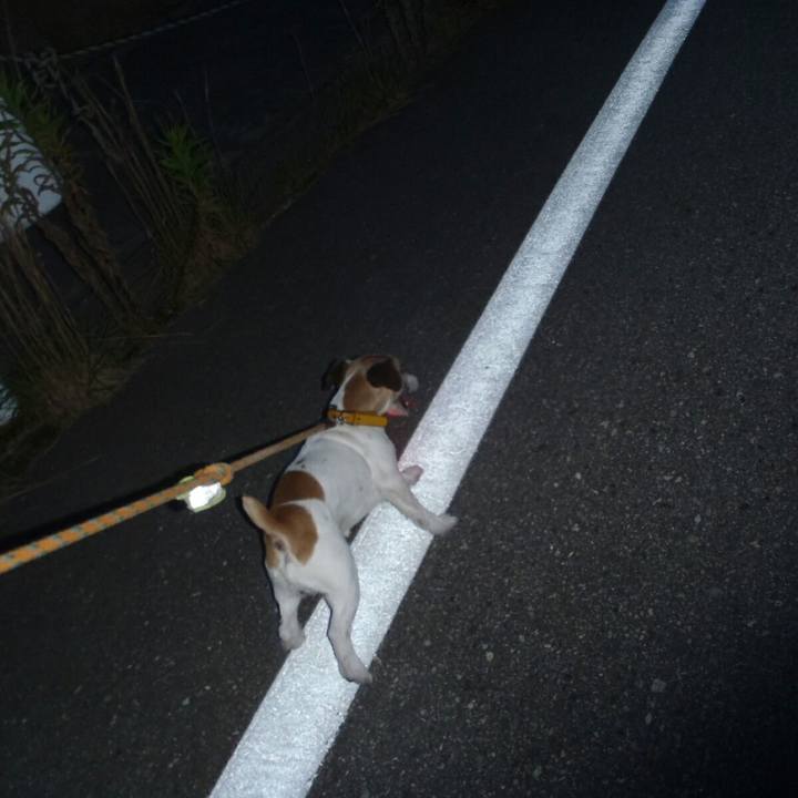 1eceaf4b f495 437f b09f 71214ad0827d