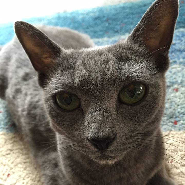 1ecf4605 4310 4781 a5e7 e84f75731be5