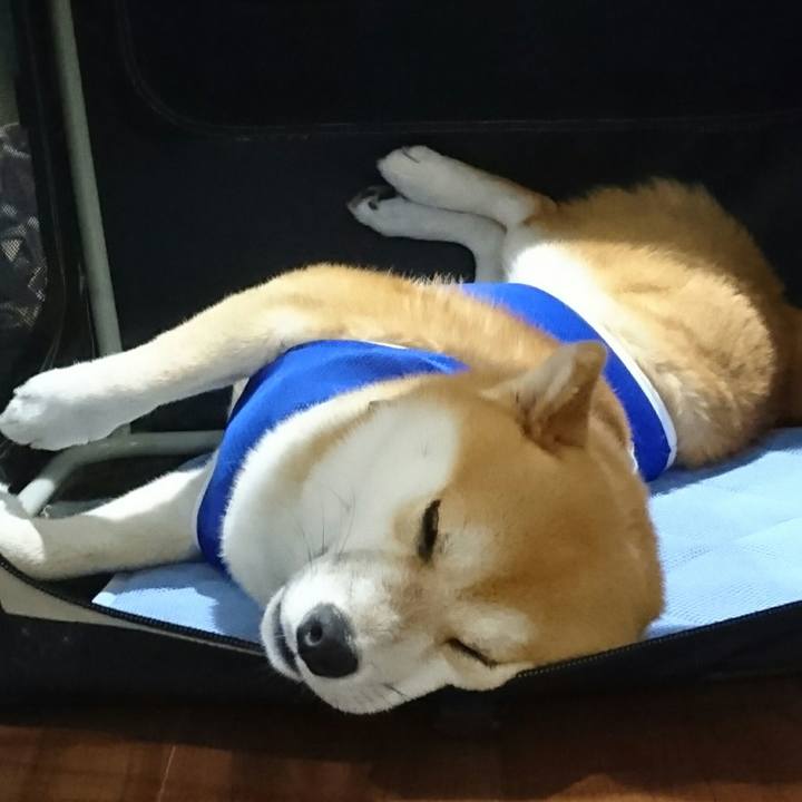 1ecf4776 a178 4092 a878 4bdd07583687