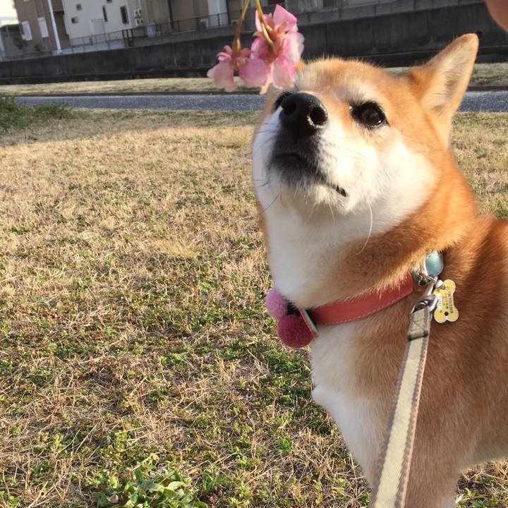 1ecf9ee5 5141 4db1 9841 1423d3a6cb52