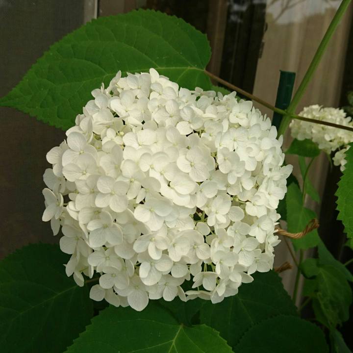 1ed0edd8 5721 4cbf 895a 1c8299c8155f