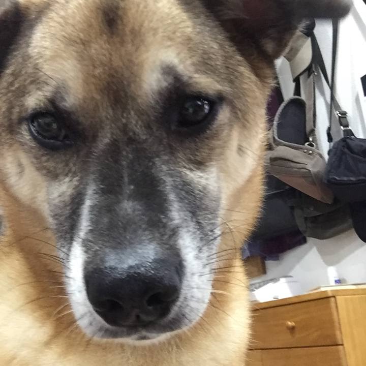 1ed12c63 9e16 4d3a 91d5 55746d2e5f12