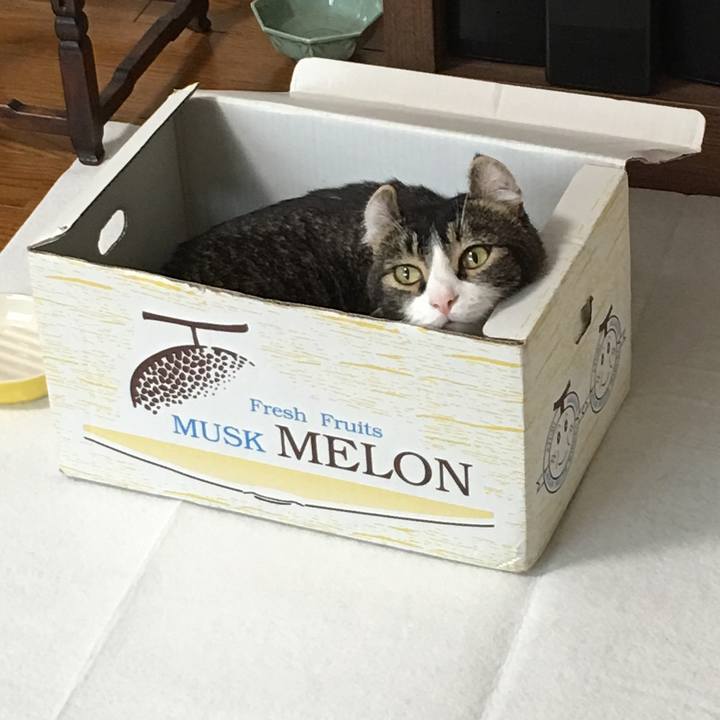 1ed14a2c 202b 452b a919 dfa40c54304a