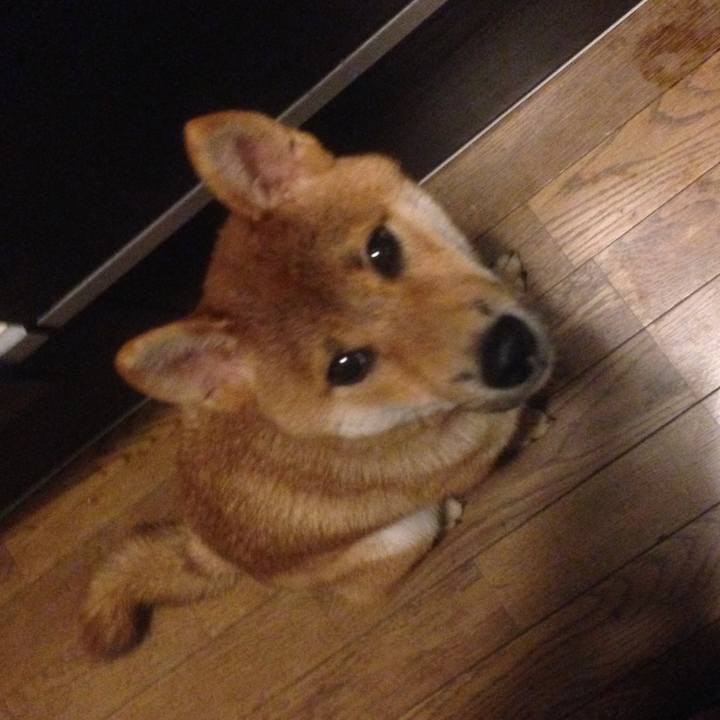 1ed32840 ac49 4b39 b5a4 d669683e672f