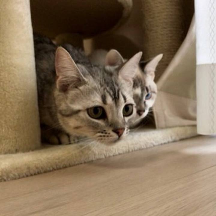 1ed37287 6eb8 4eb6 97b1 469202314575