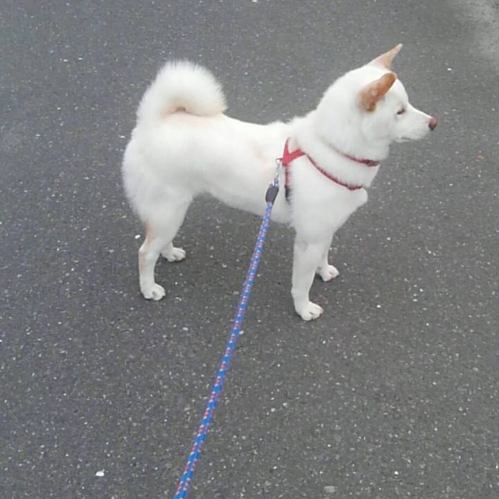 1ed3ba39 e627 4dfe bbf8 9460e043b9b1