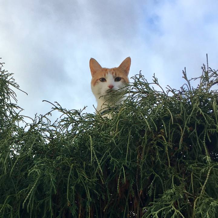 1ed3d5a2 9709 4cfb 9b7f f49c6c66446e