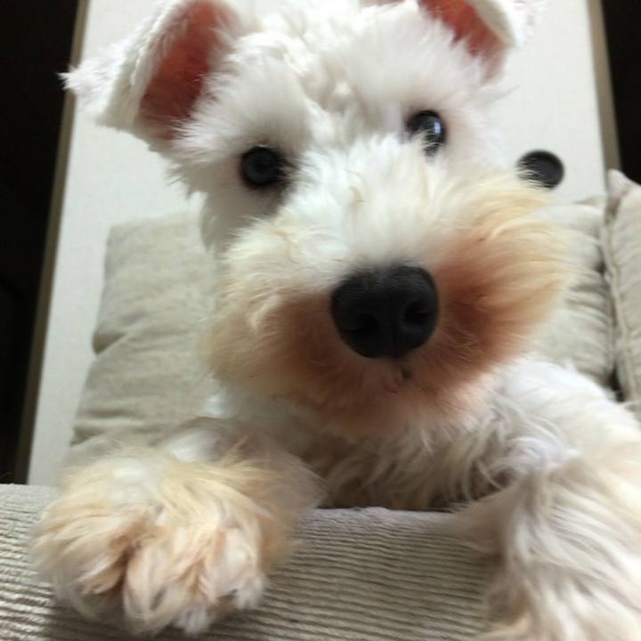 1ed4ae5a d80d 4aba 90a2 4b6d43706c5b