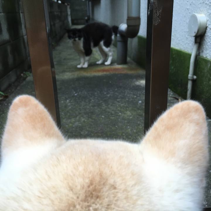 1ed4bb04 b305 4e61 b8bf f7f3e5bf3f07