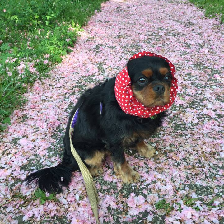 1ed4fc27 55b9 4855 baa9 1523904f75dd