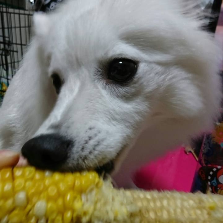 1ed50dc2 328f 4012 9fe9 fa5cbe24df7c