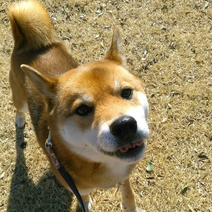 1ed5114f 38c6 44e3 af0b d7665a367677