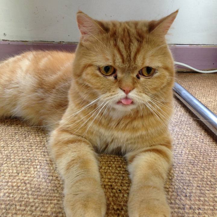 1ed52475 4ad8 4605 929f 4c11d6428a39