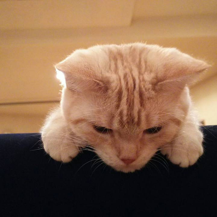 1ed53e77 2364 455c b07e 93699e28e6d6