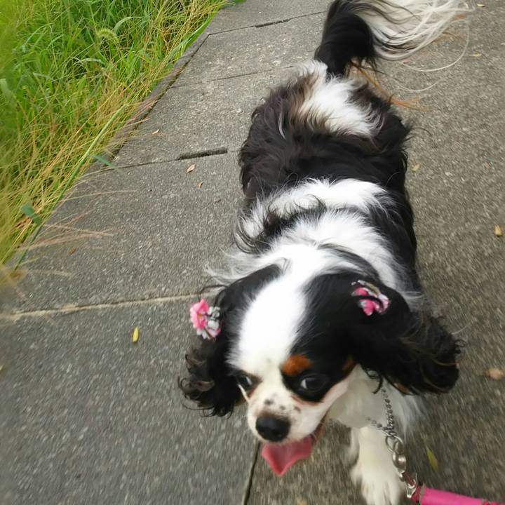 1ed60b28 90d3 4d72 8bd3 308597473546