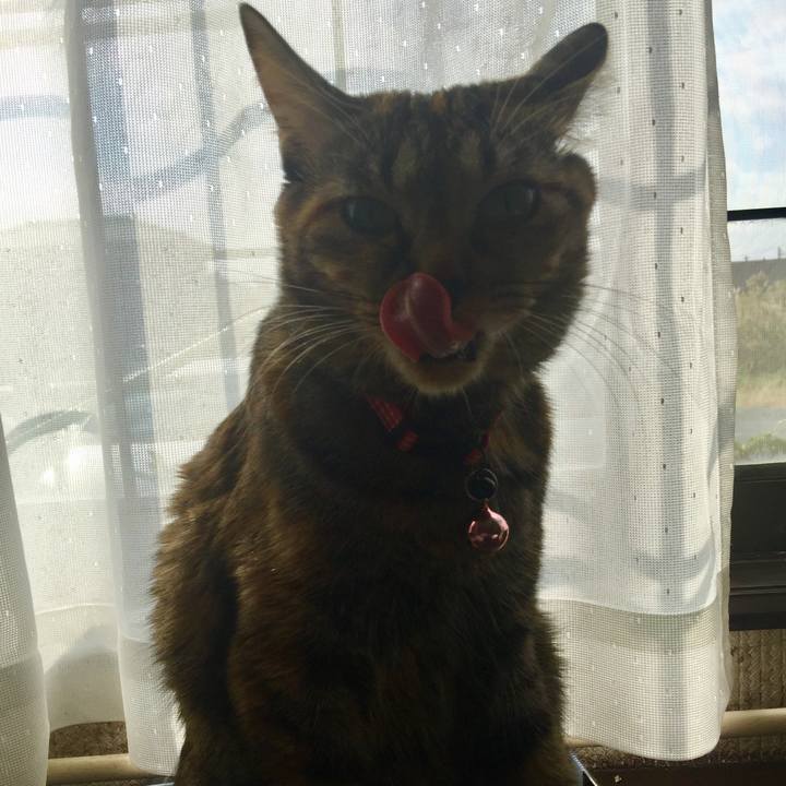 1ed6235c 3e35 4843 9069 0c654cc95a41