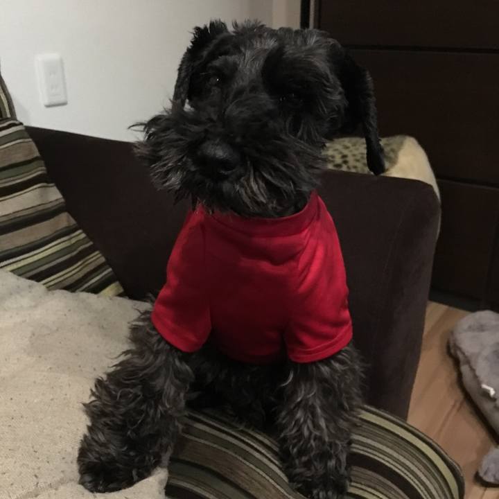 1ed62821 1471 4d8c 917d ca44ba17960b