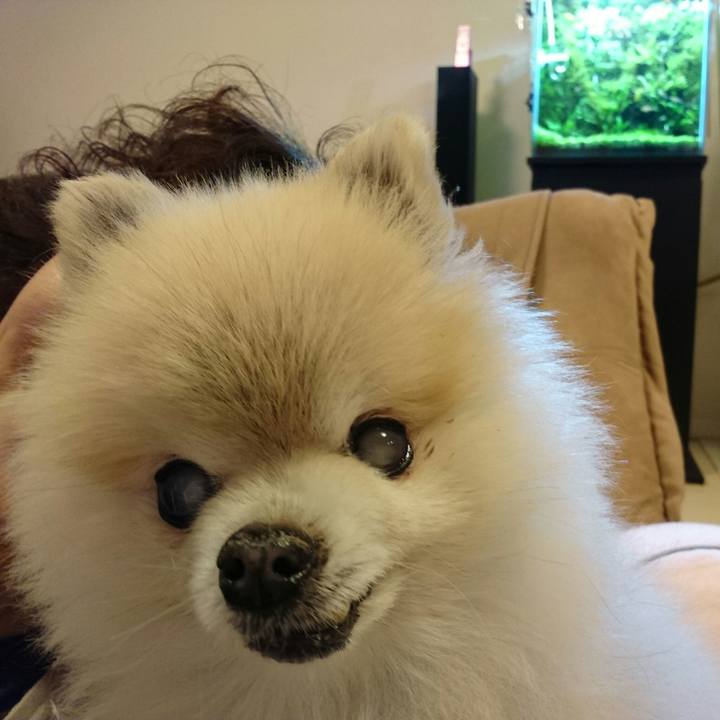 1ed66759 fa29 4178 a0f6 ca8e86c529c8