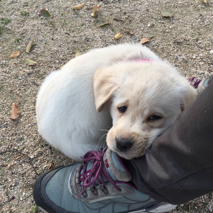 1ed70322 1551 436a a877 a522198529f2