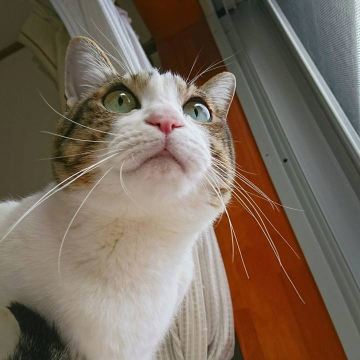 1ed74a34 d7f9 4709 b561 11b67c83bfd3