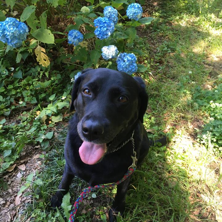 1ed8814b 98c7 460d 9ae6 90c8dd74299a