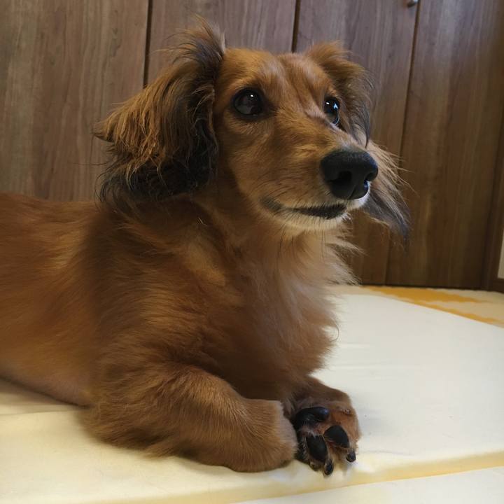 1ed8fab2 edaf 49a0 a53e 958d1f68360a