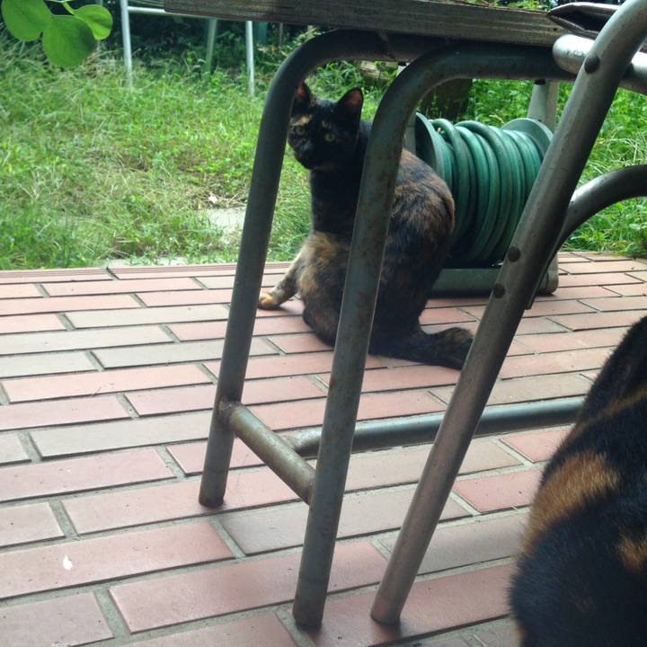 1ed91005 d830 445e 9de7 c6c8cea791dc