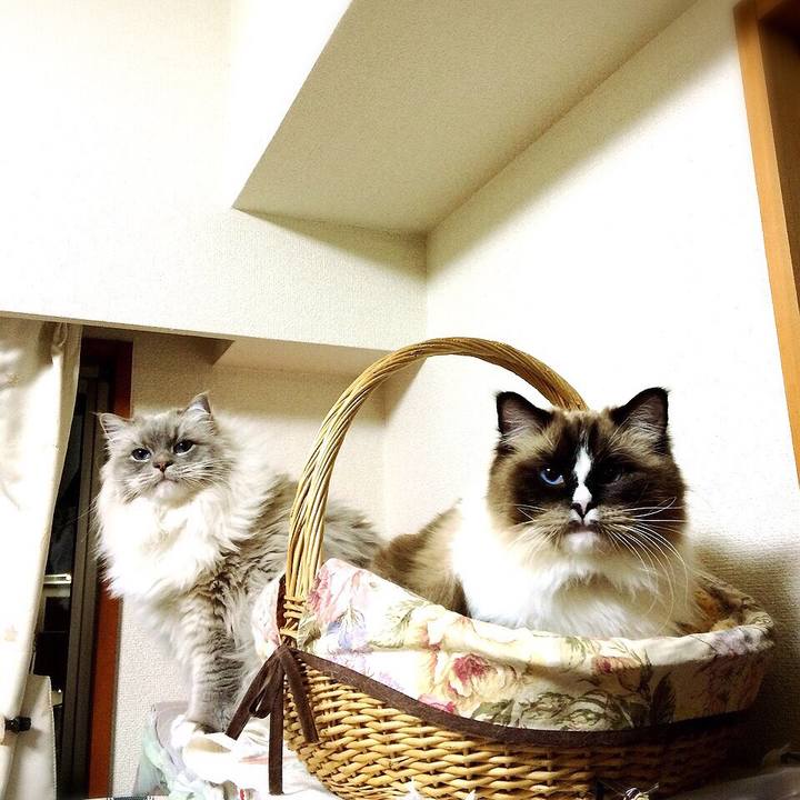 1ed9a23f c72b 4214 951a a890a106984e