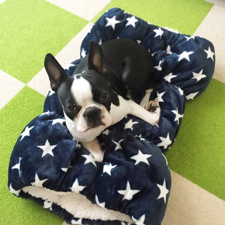 1ed9a446 eab1 45ad ad26 5beb2a282137