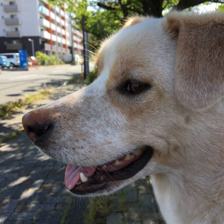 1eda20fb a1f4 4240 8c42 48178382cce7