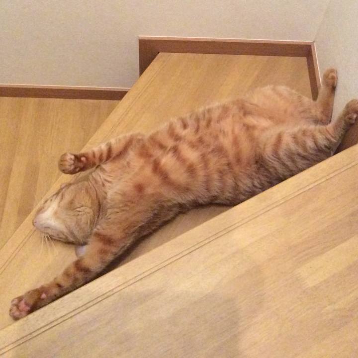 1eda7863 c9d6 4583 8d07 a23969202aef