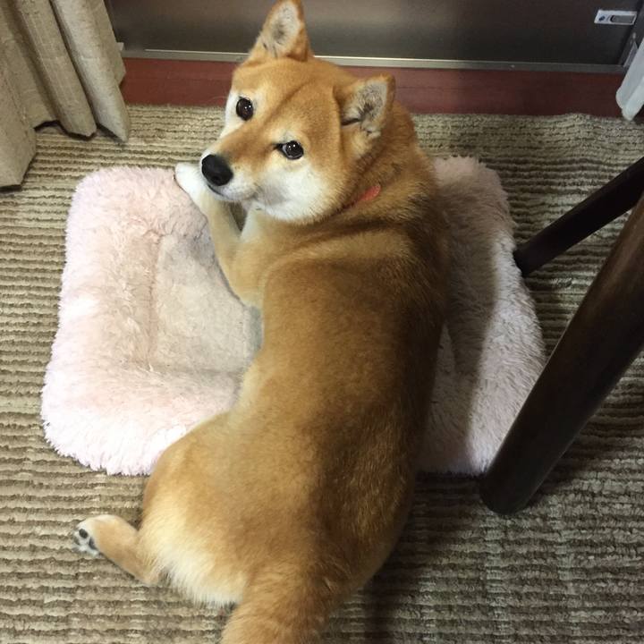 1edab2ef af47 4a53 8e70 5ff8f2b77bbb