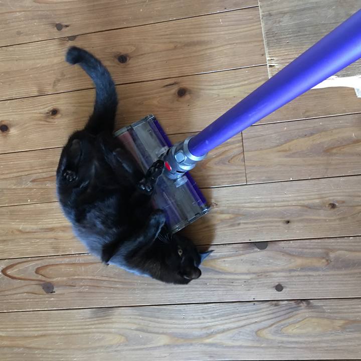 1edbd11f bdd6 4740 a727 709064df72b8